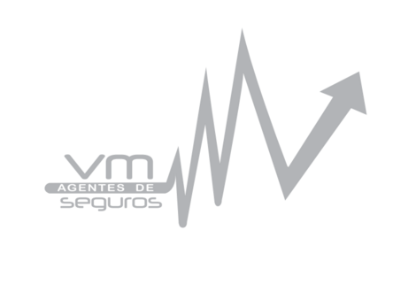 vmseguros.com.mx